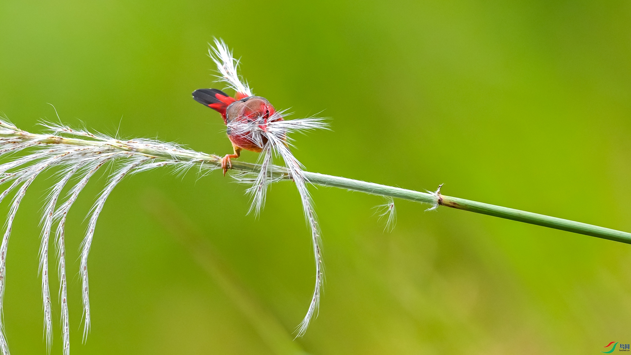 4431 ����.jpg