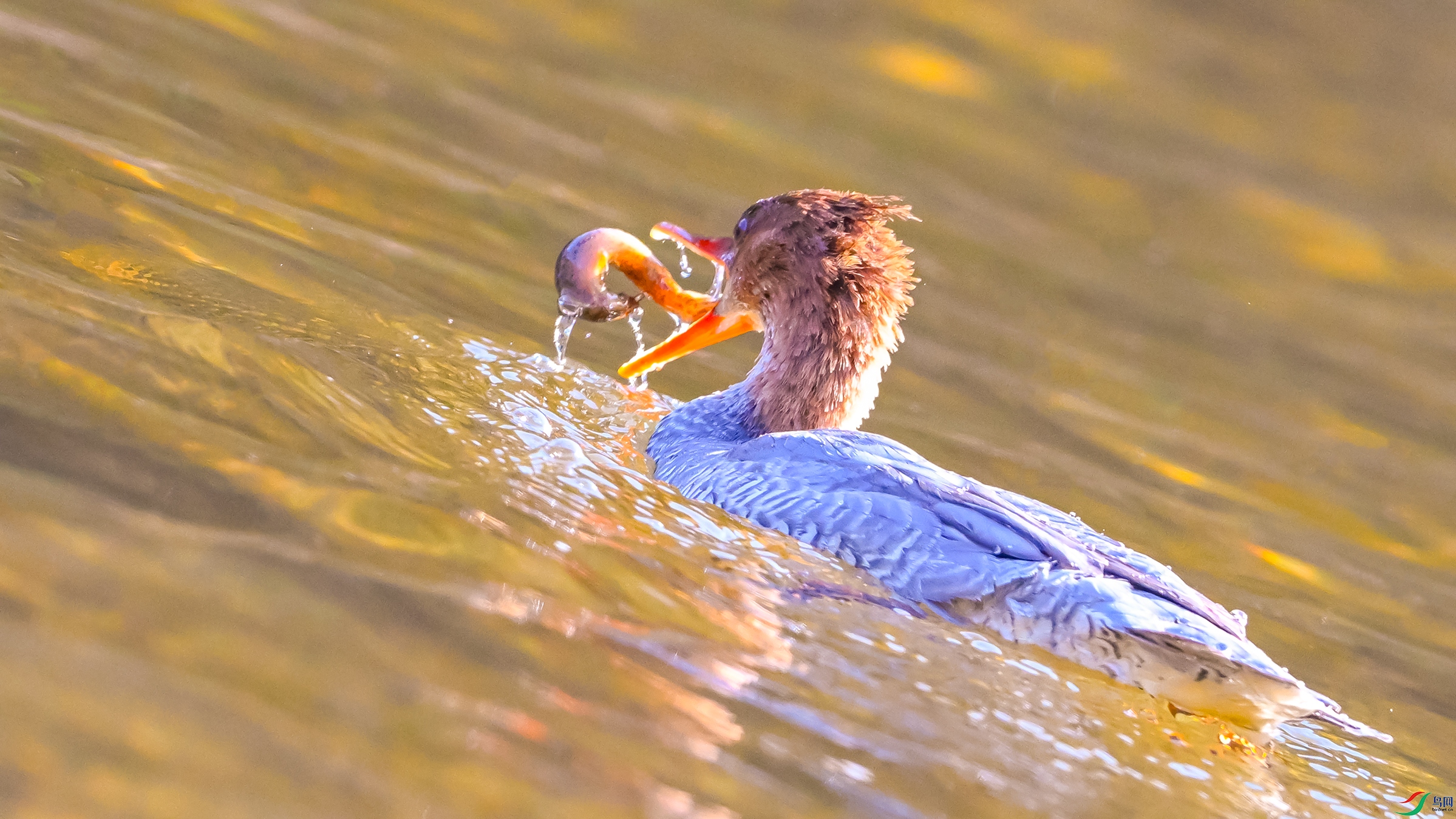 0271 ����.jpg