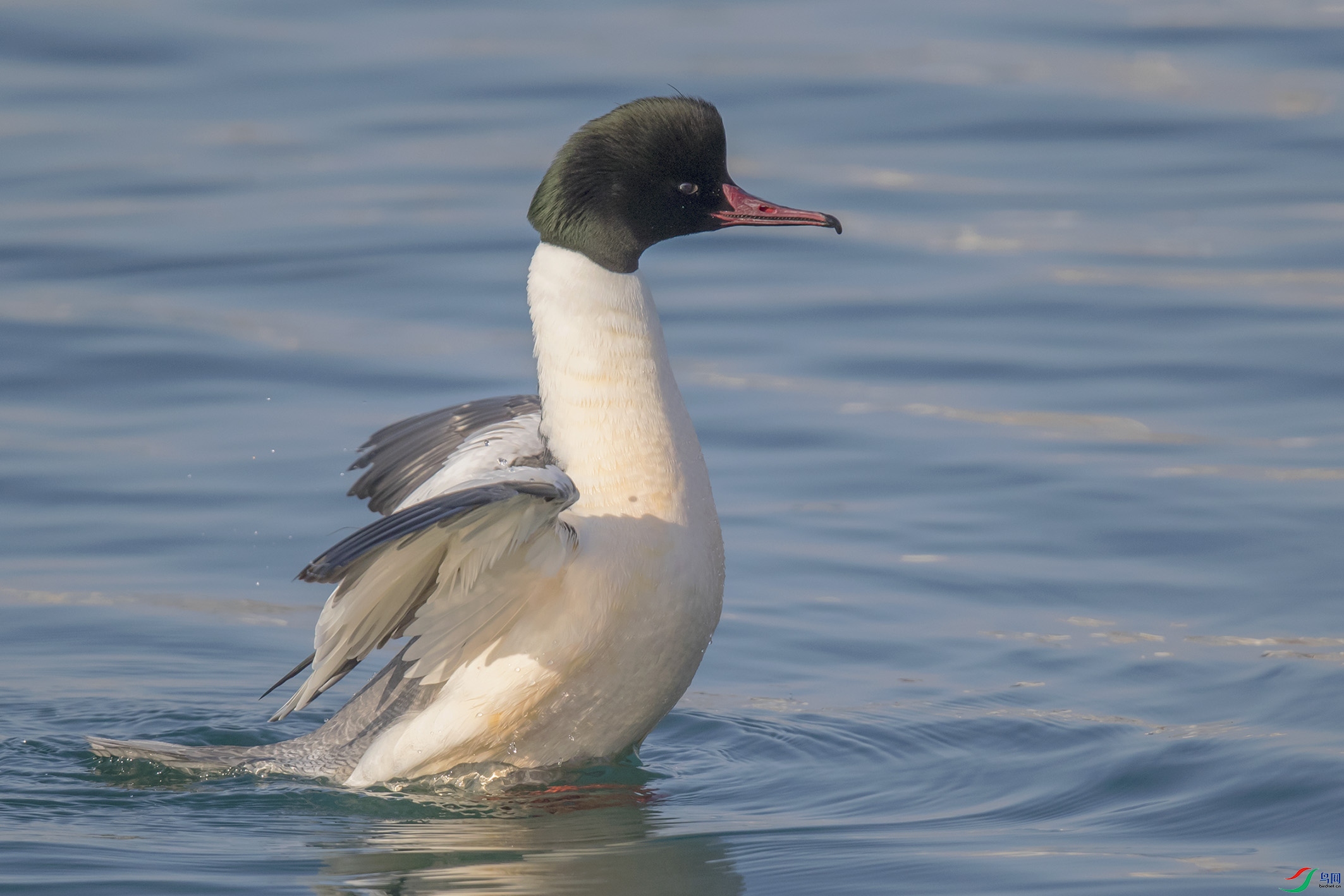 _90I1727 ����.jpg