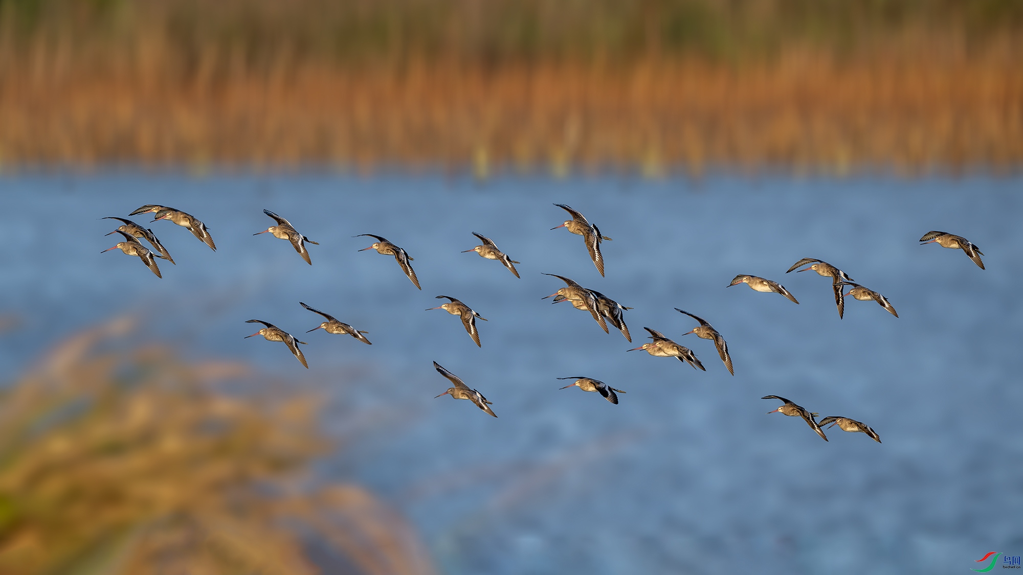 DSC_0562-����ǿ-NR ����.jpg