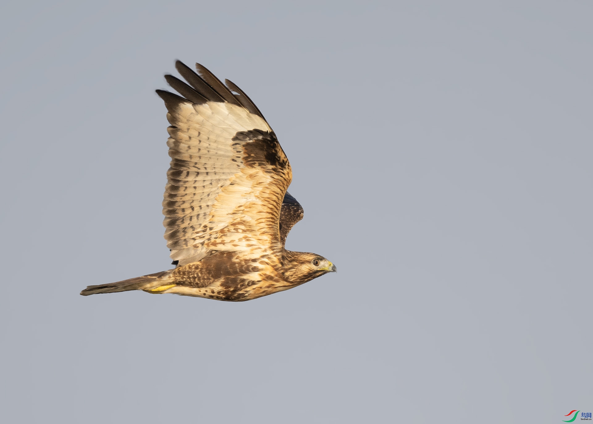 ��DSC_3969 ��ؐ.jpg