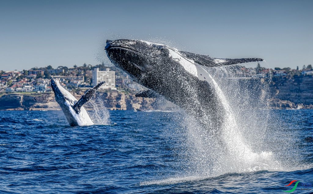 21 ����_����.jpg