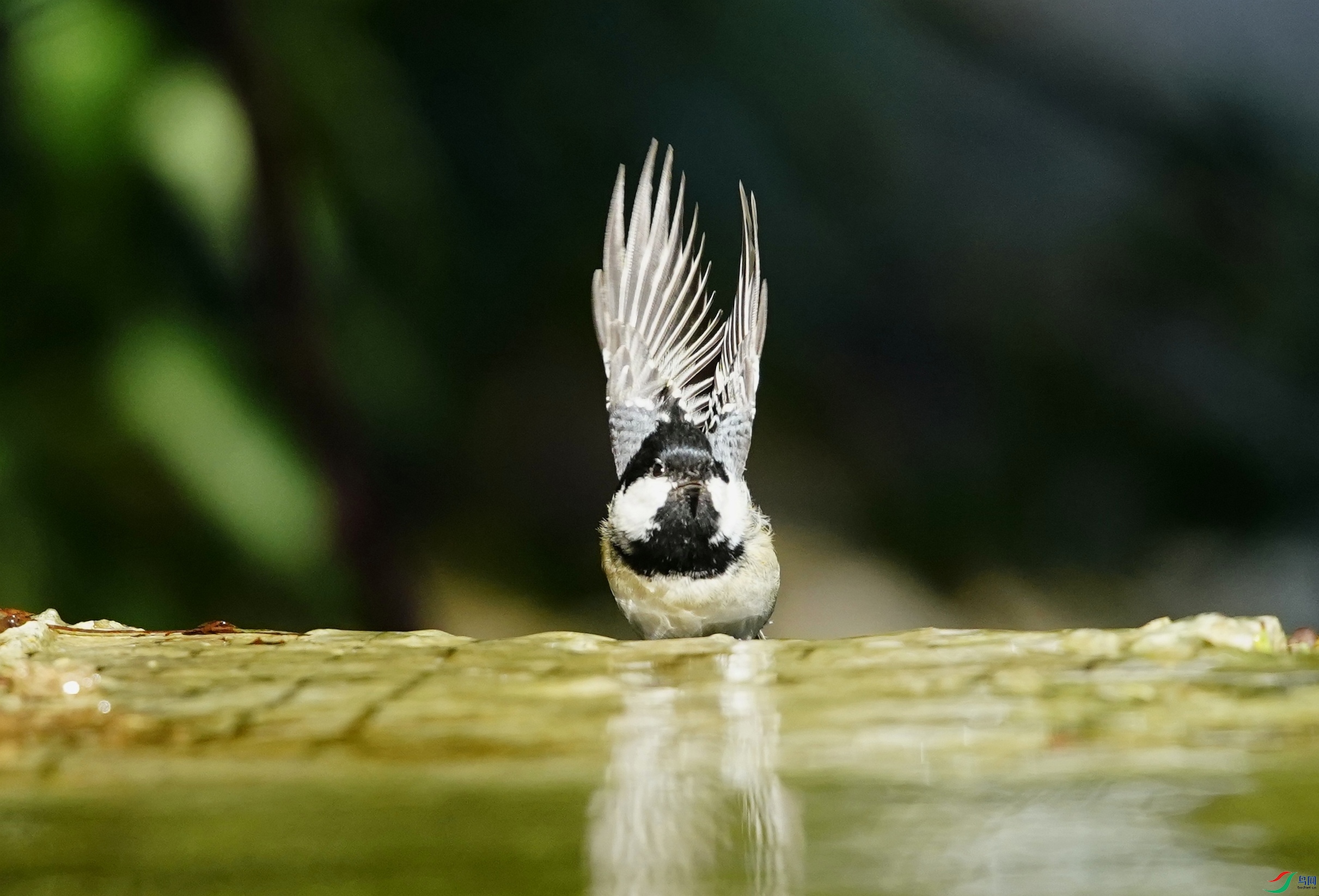_DSC3983_��ͼ��_edit_36654829008569.jpg