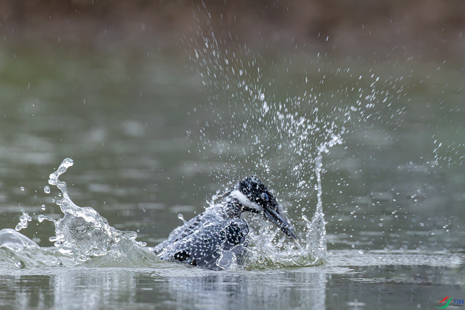 hnxyR221113 (1549)_DxO.jpg