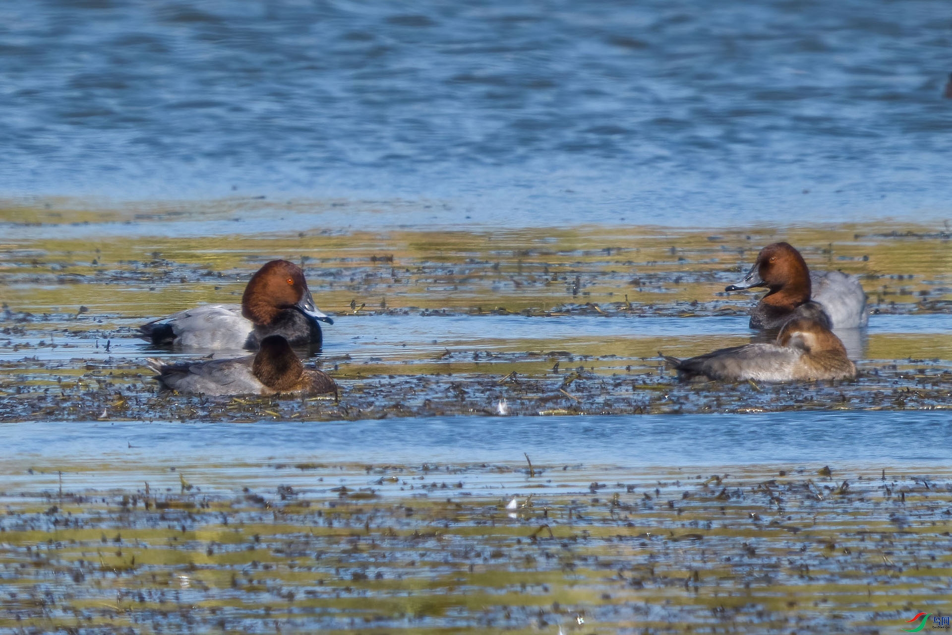 01 PB029930-DeNoiseAI-low-light.jpg