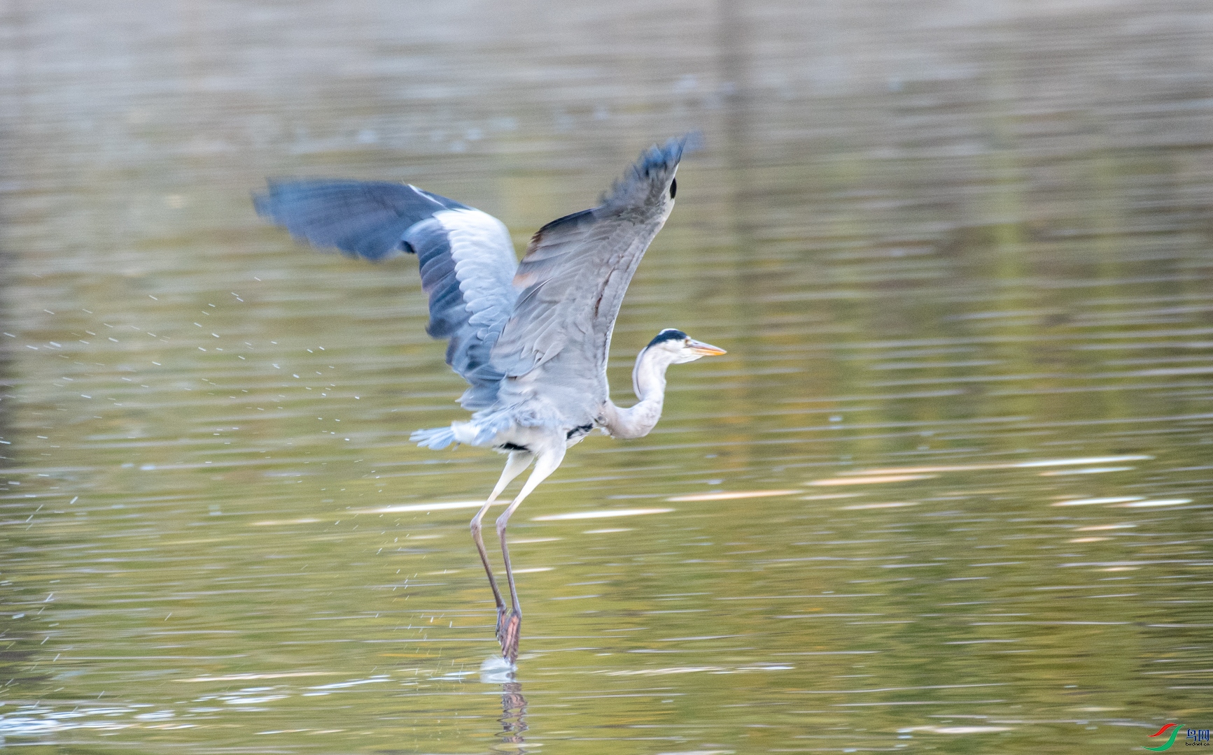 DSC_9943.jpg