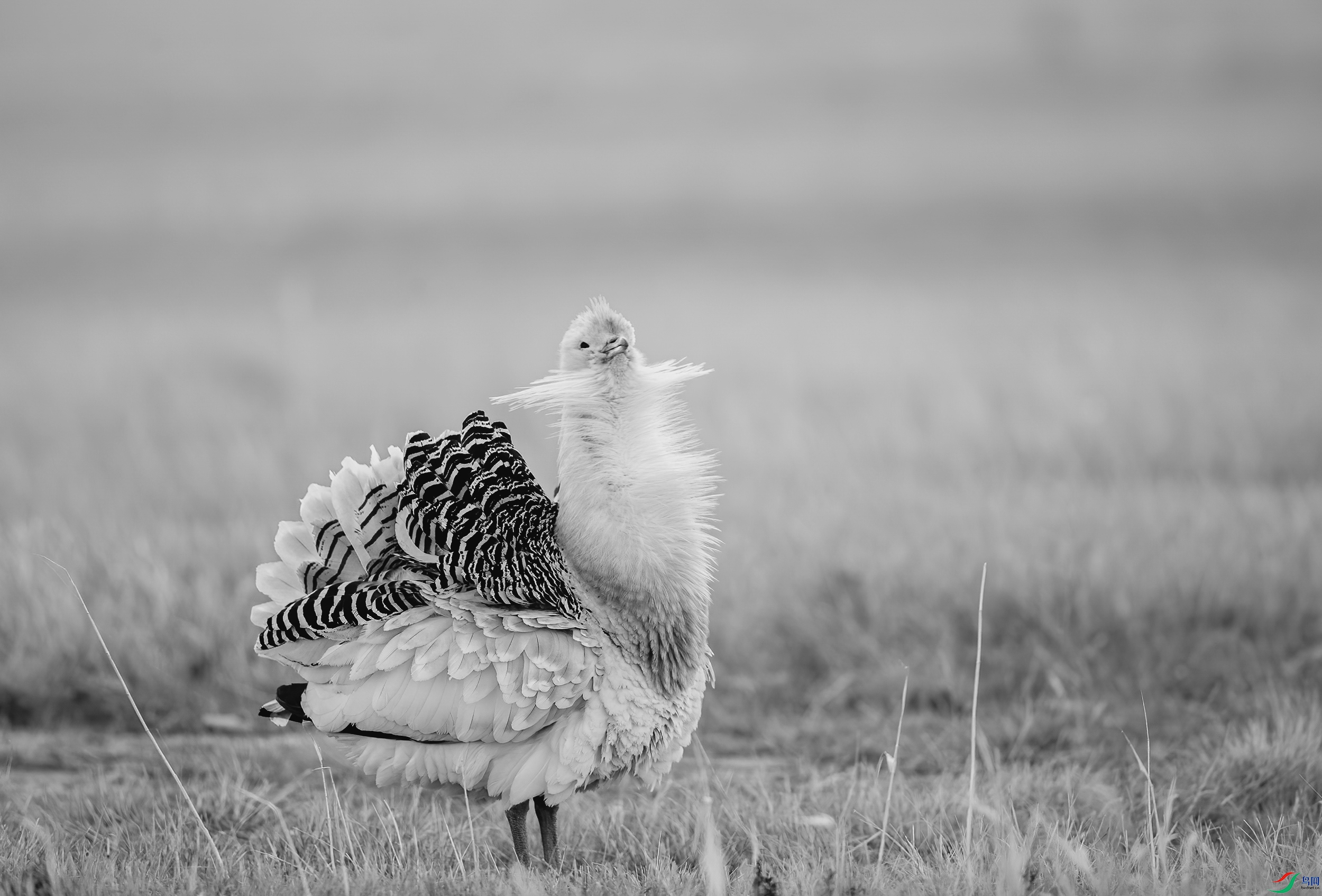 AC3I4685 ���� 2.jpg