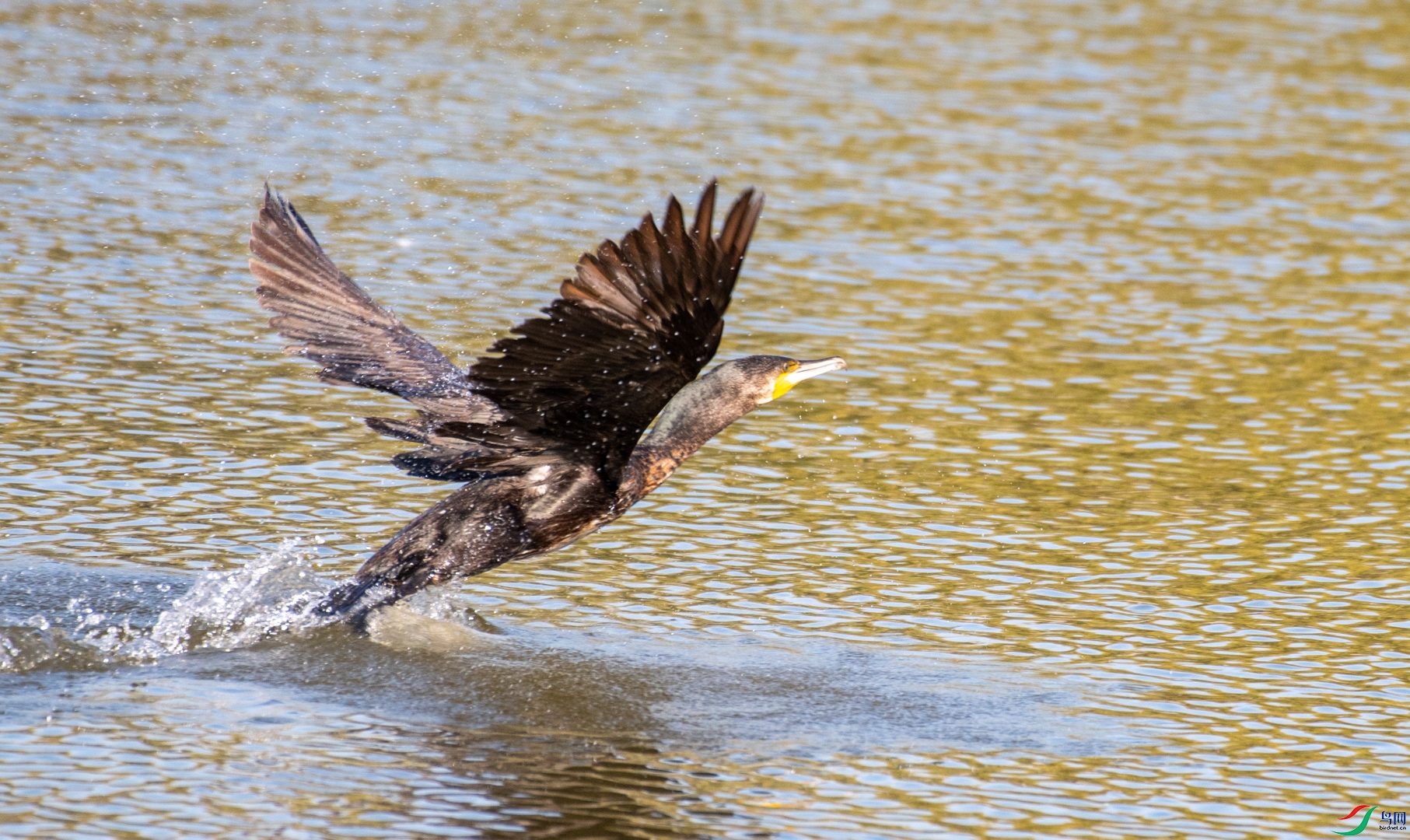 DSC_0020.jpg
