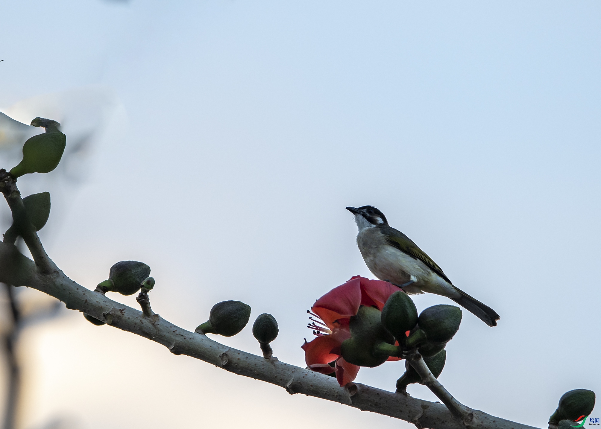 5977 ����.jpg