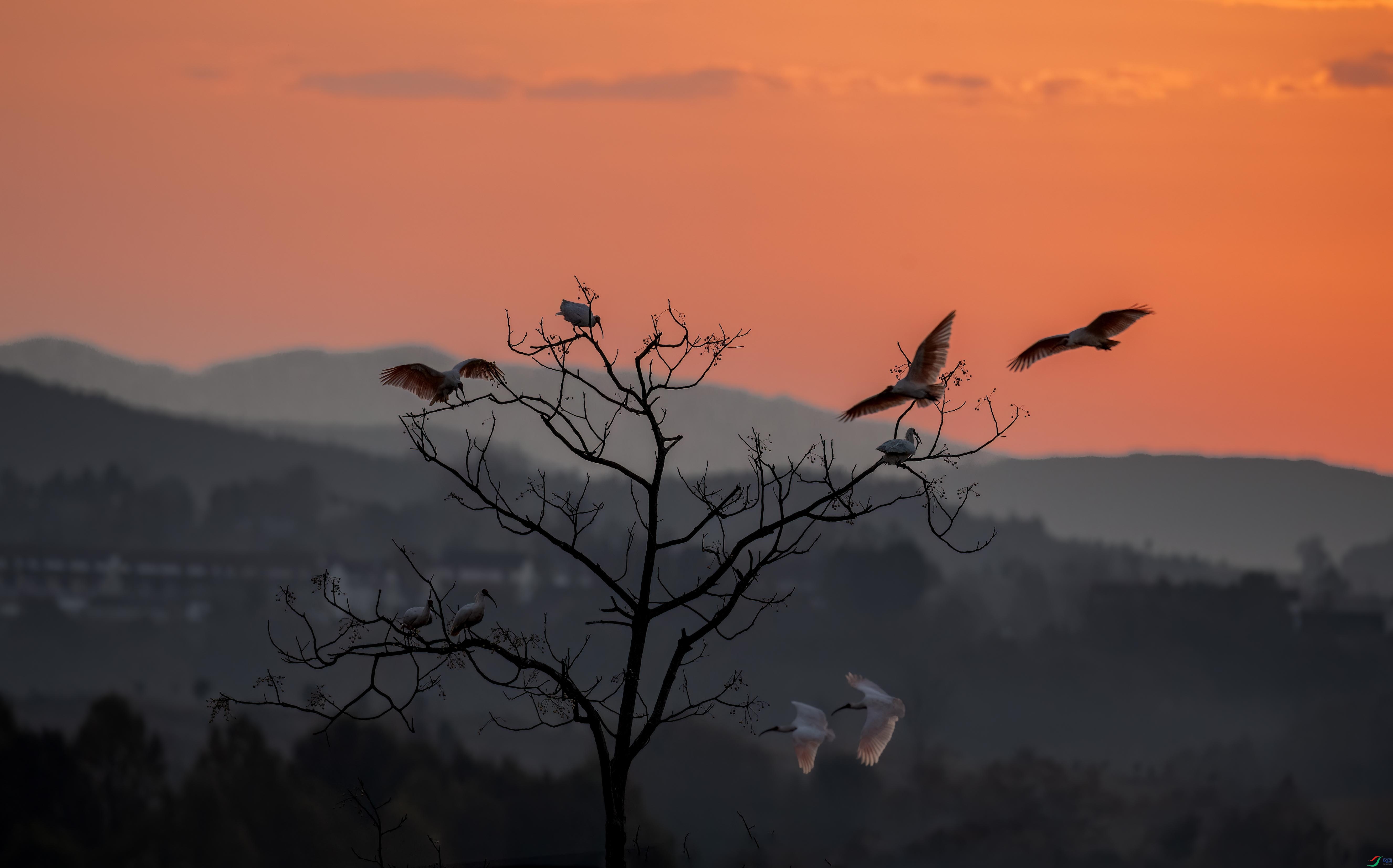 DSC_7989 ����.jpg