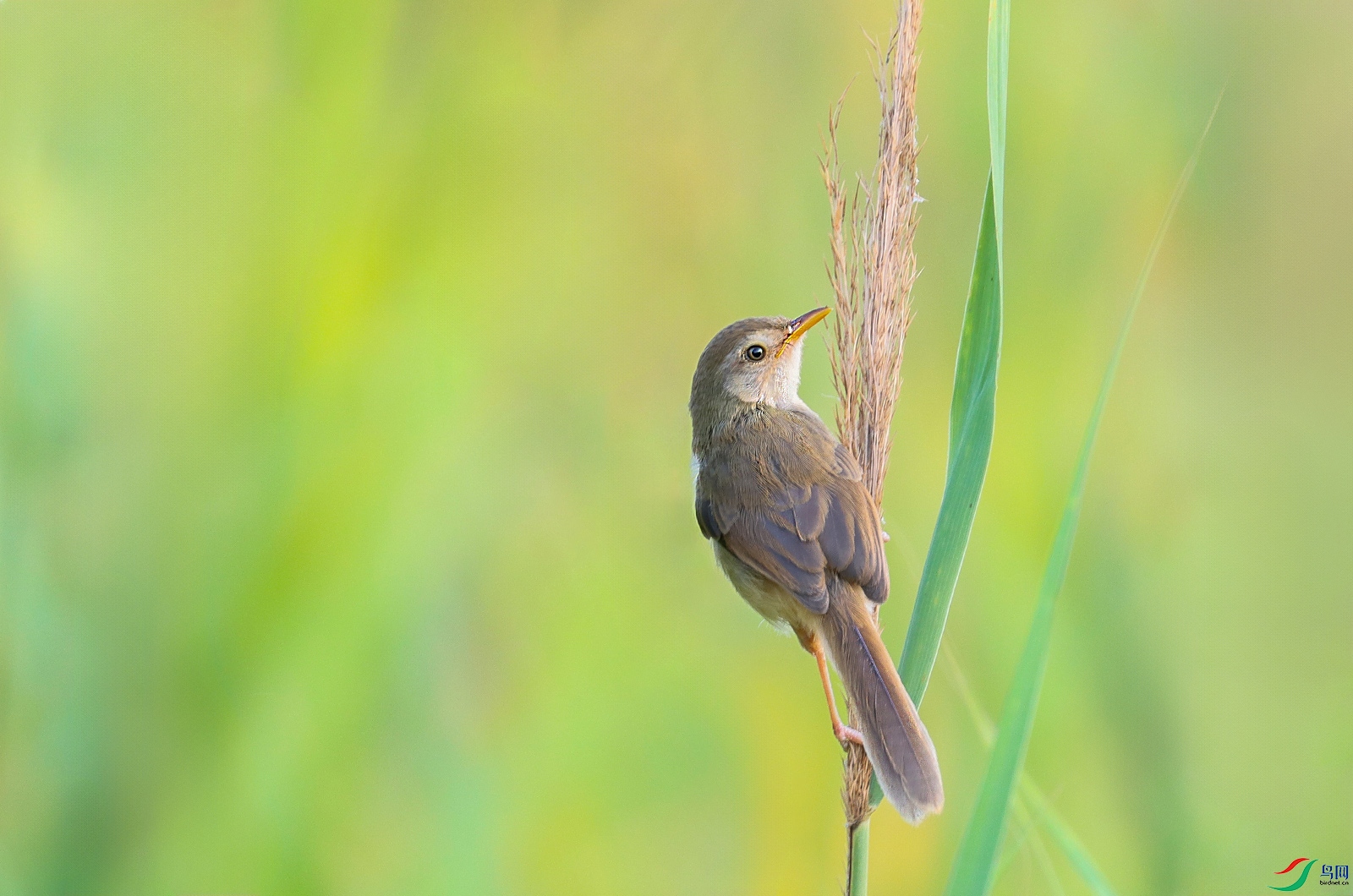 9522 ���� 2.jpg