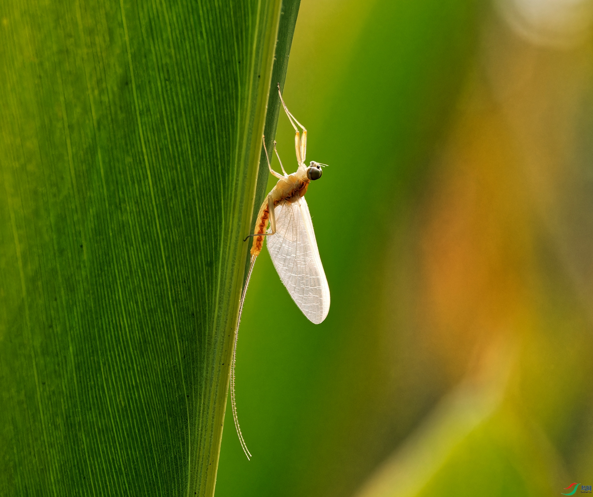 PB011542_DxO_����.jpg
