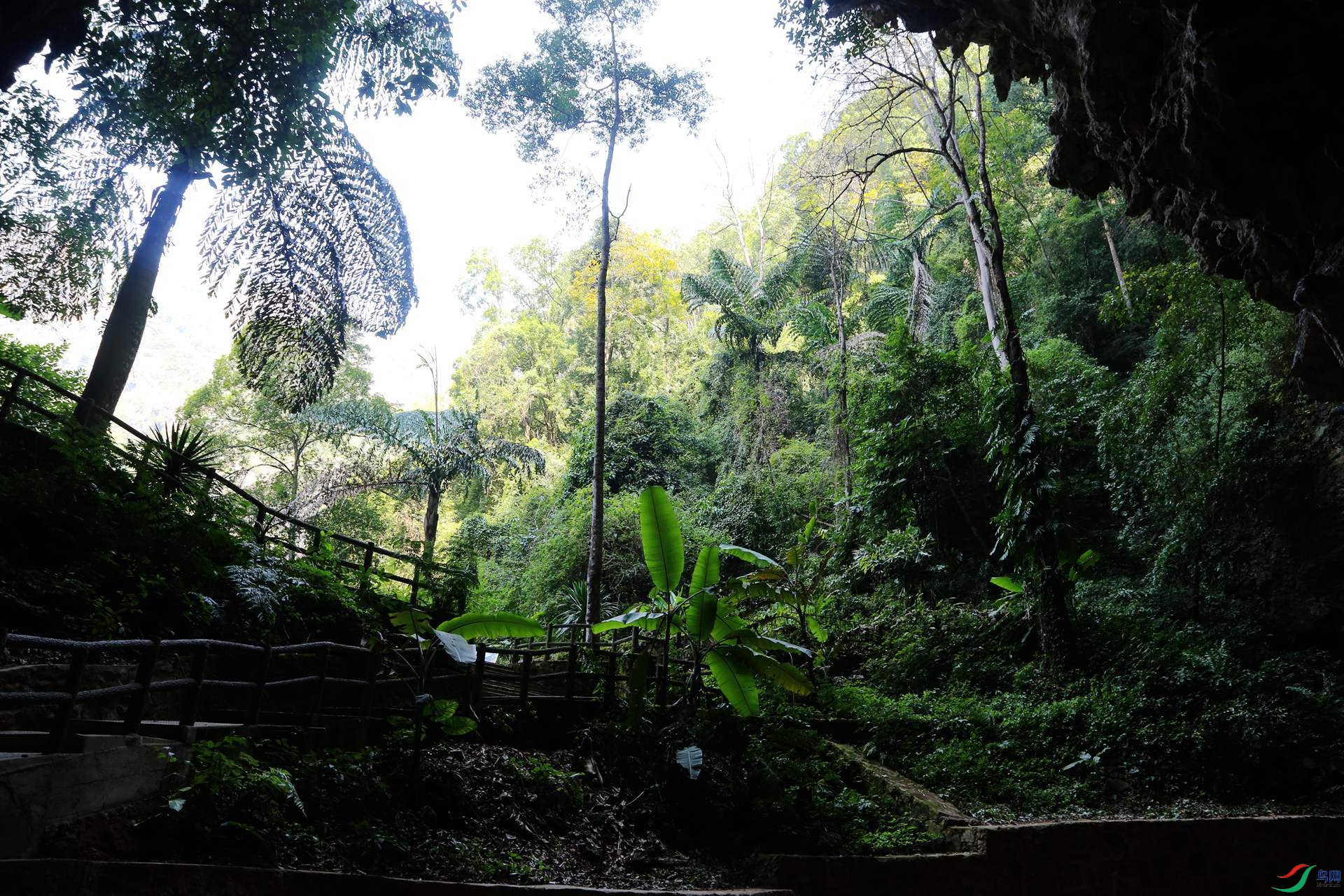 ˾�����ܶ�����