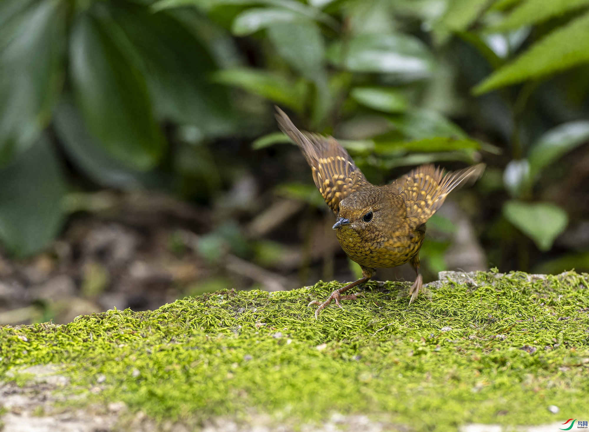 С�������� (46)-1-1.jpg