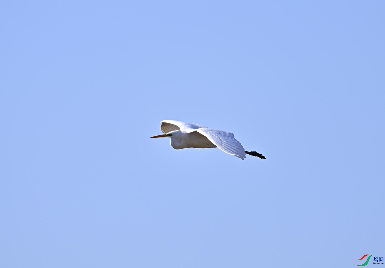 _DSC0820f.jpg