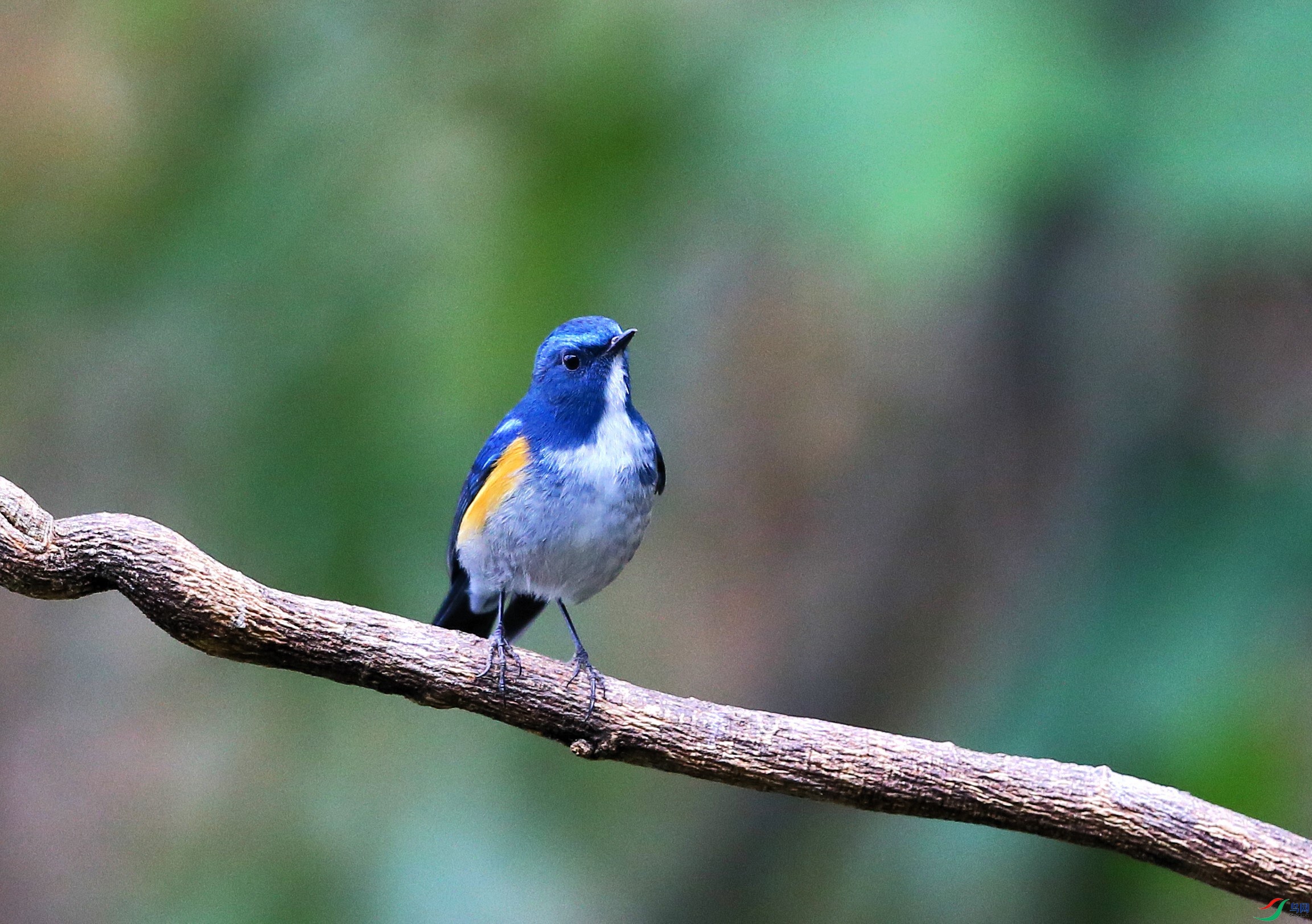 ��ü��� (32).JPG