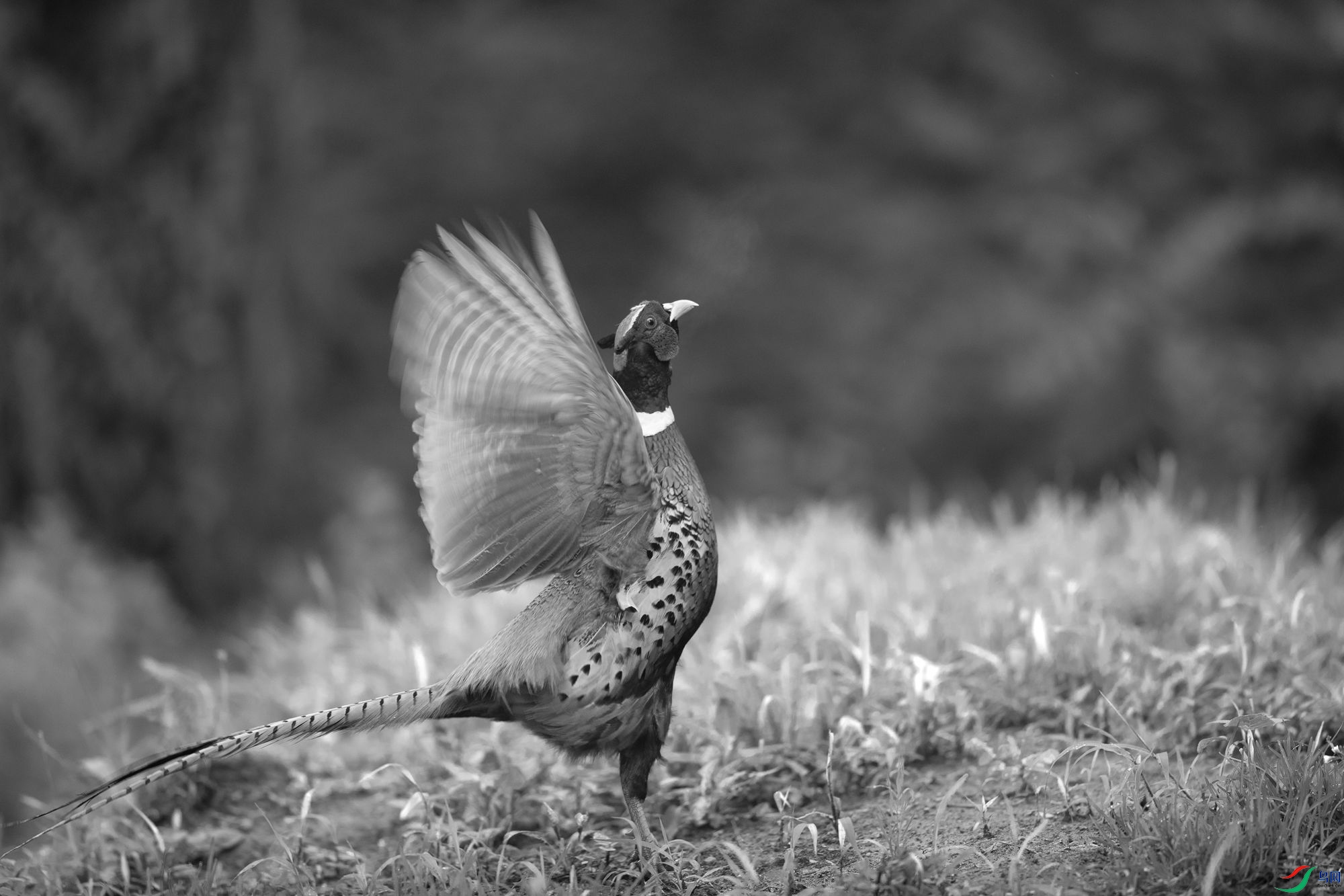 AC3I5920 ����_����.jpg