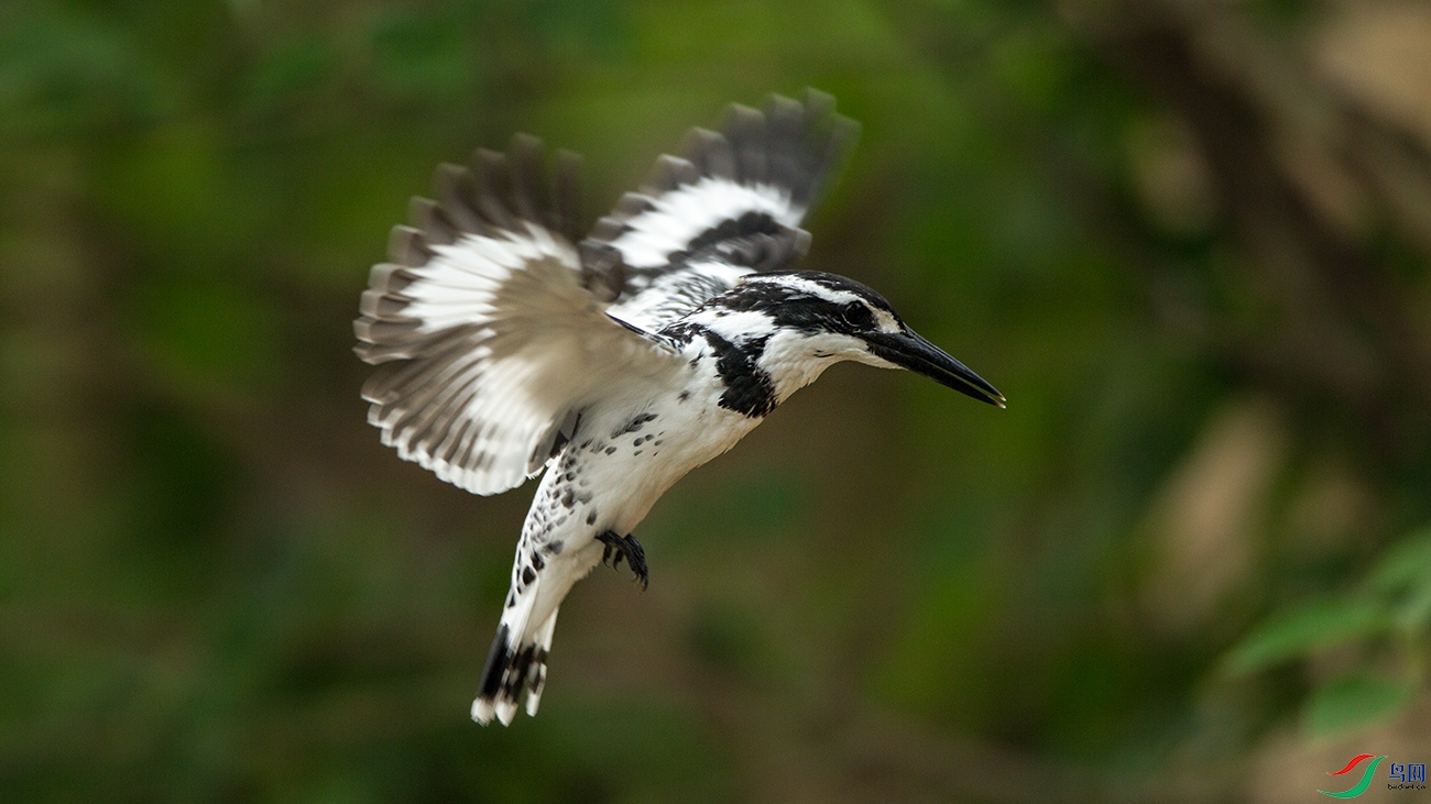 AQ5E9863.jpg