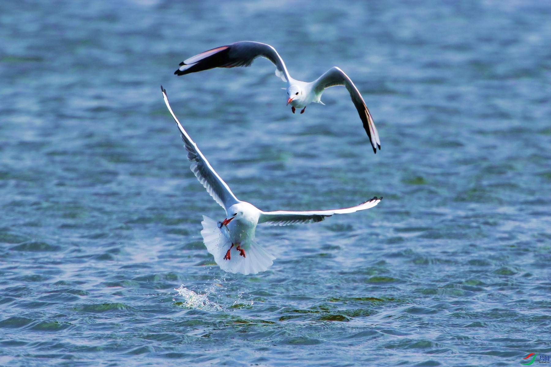 4S3A1358_���� - ����.jpg