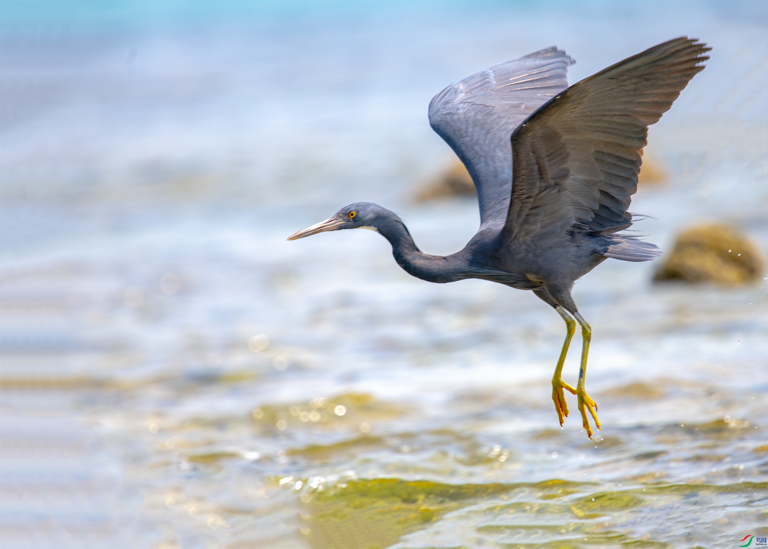 1888 ����.jpg