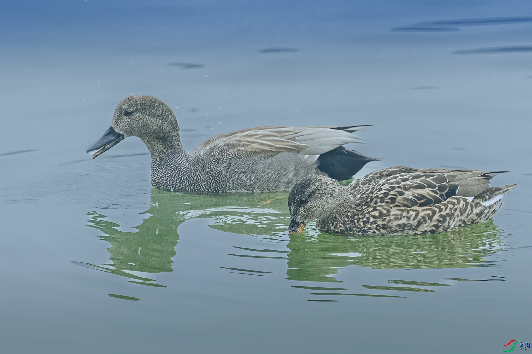 ���Ѽ_70A0722.jpg