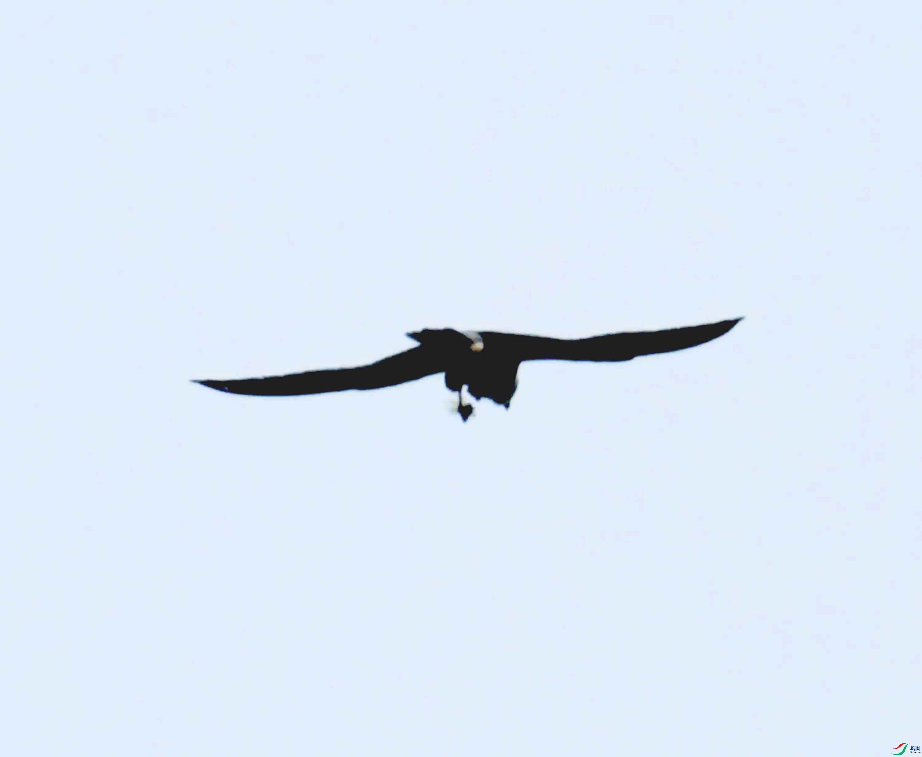 DSC_0355.JPG