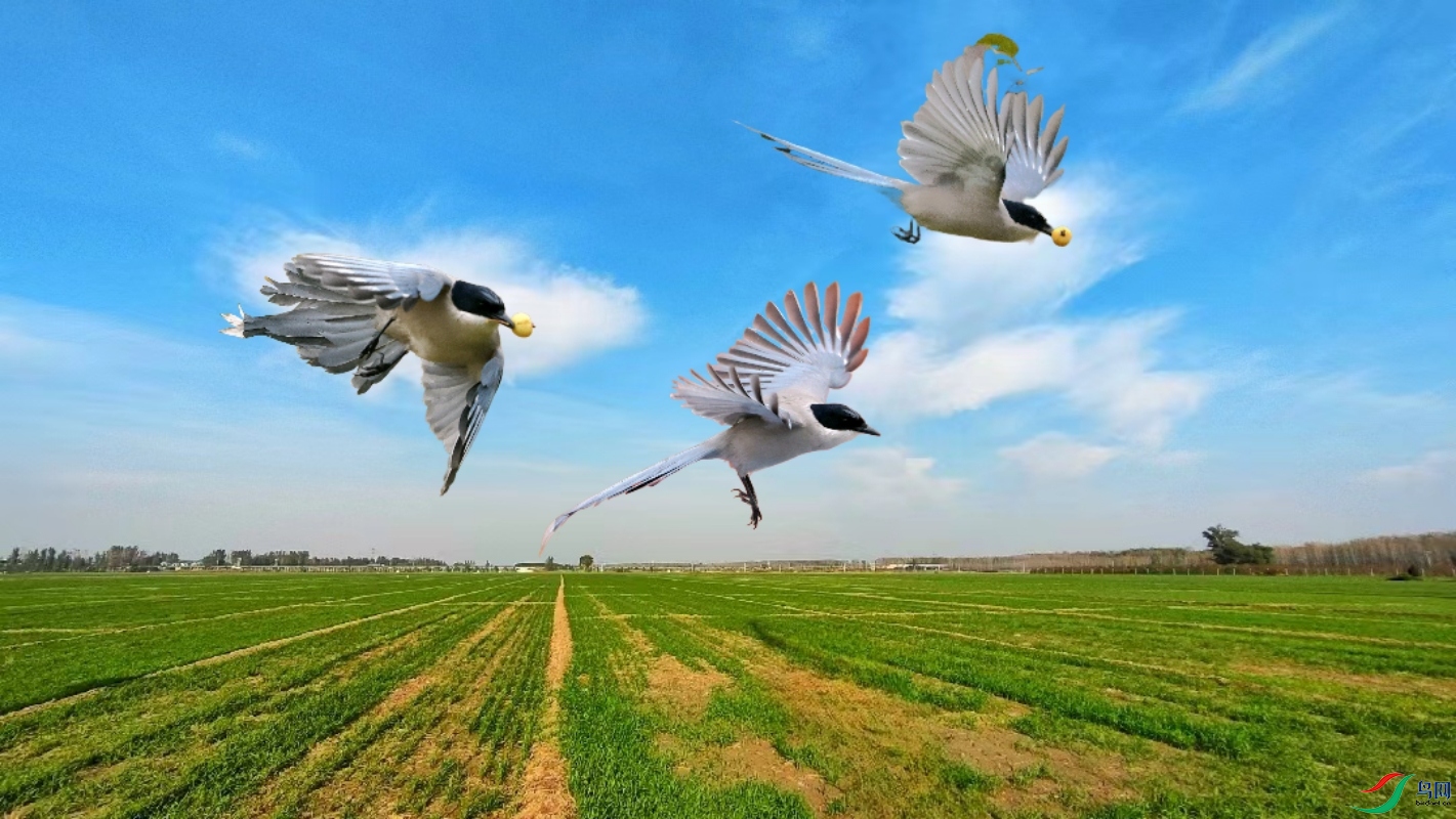 PicsArt_11-09-06.16.09.jpg