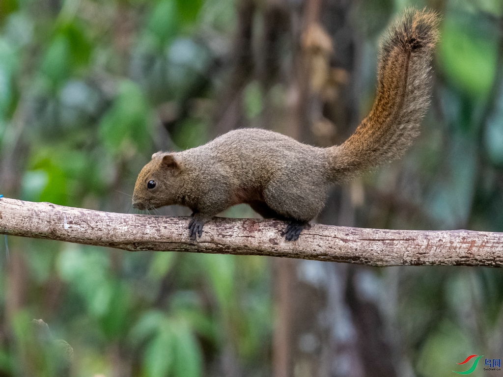 DSC_5976.jpg