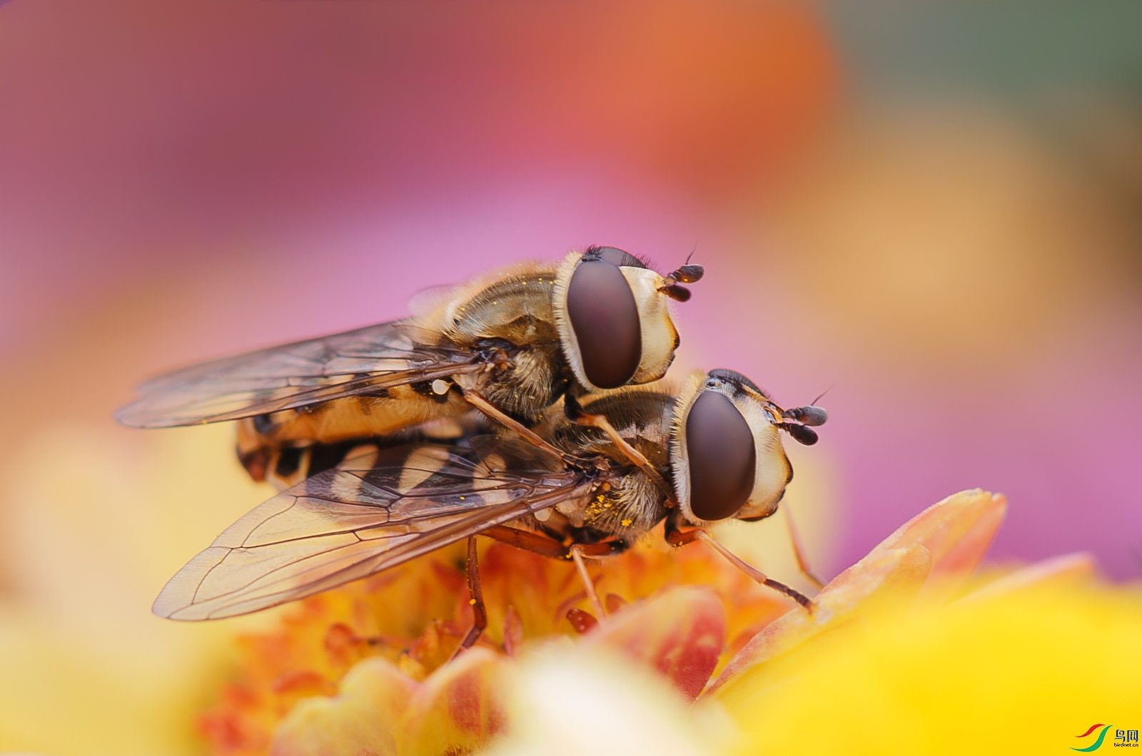 3638-����ǿ-NR-1.jpg