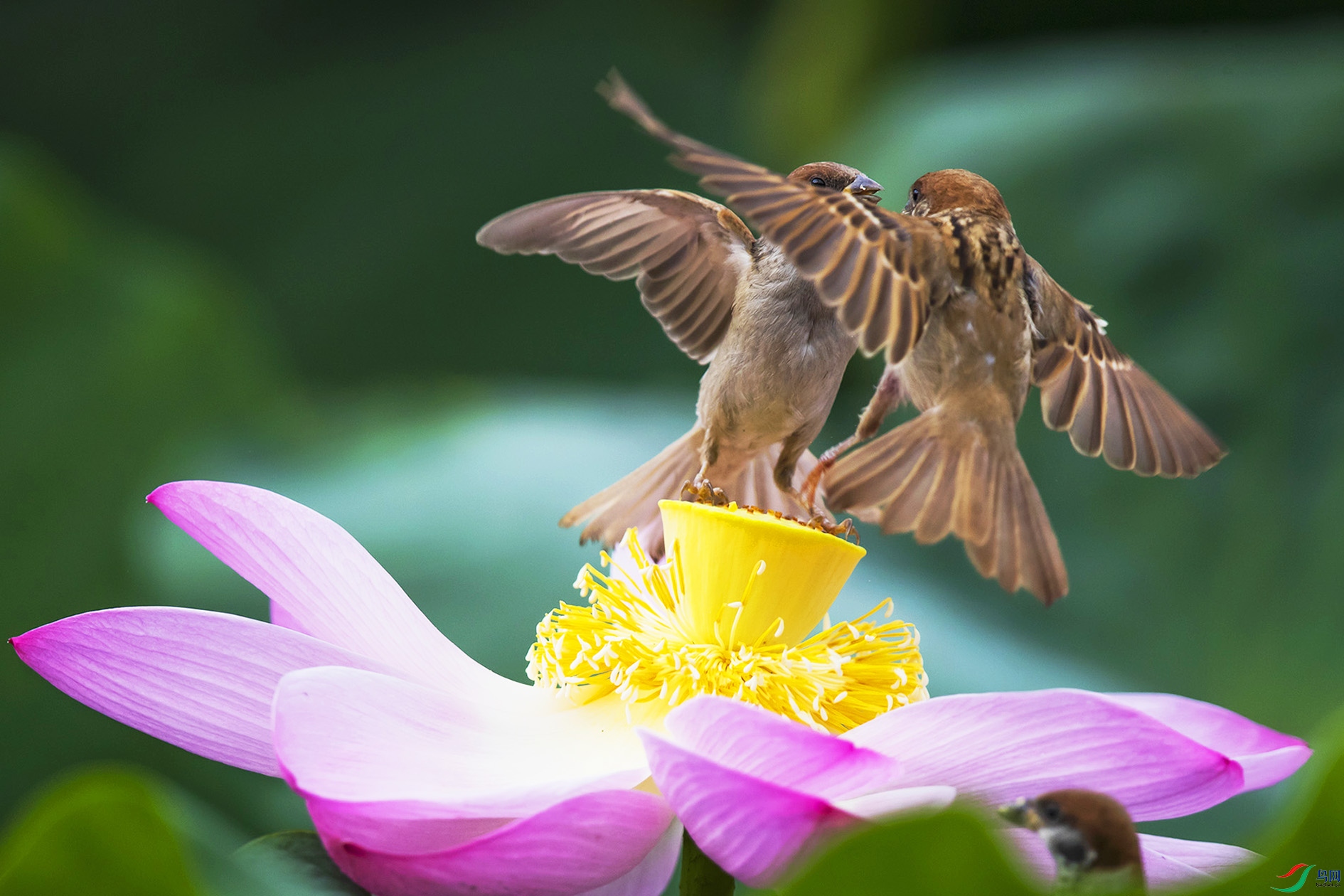 _90I2312 ���� 2.jpg