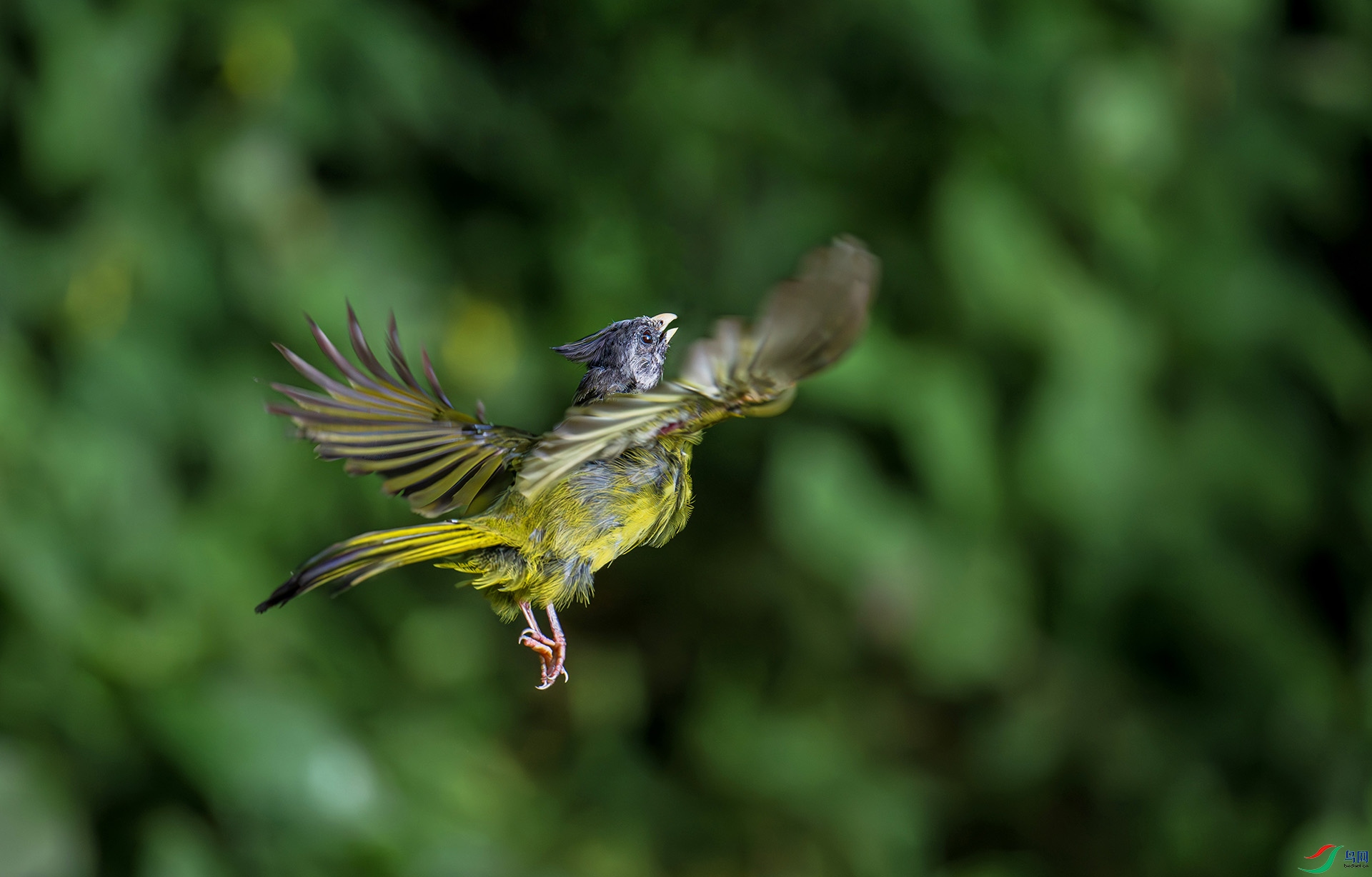 DSC_6519-����ǿ-���� ����.jpg