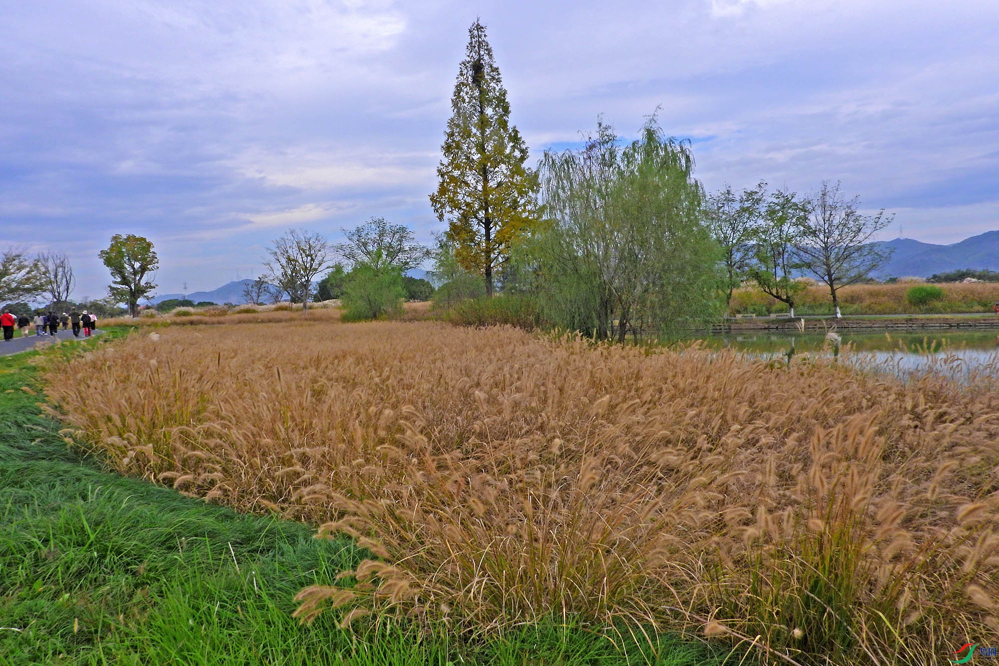 DSCN1632.JPG