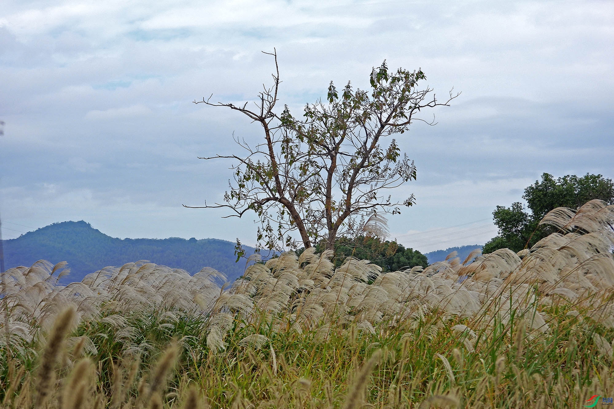DSCN1640.JPG
