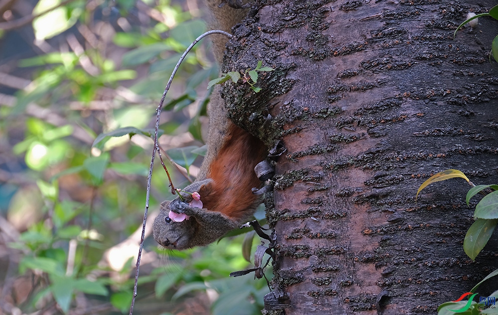 DSCF1640.1.jpg