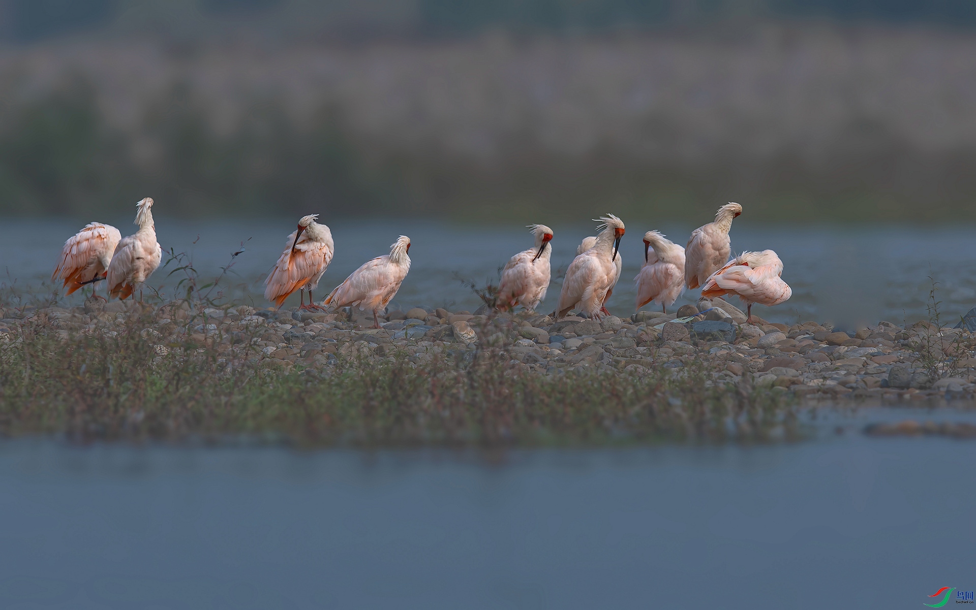 DSC_8269 ����_����.jpg