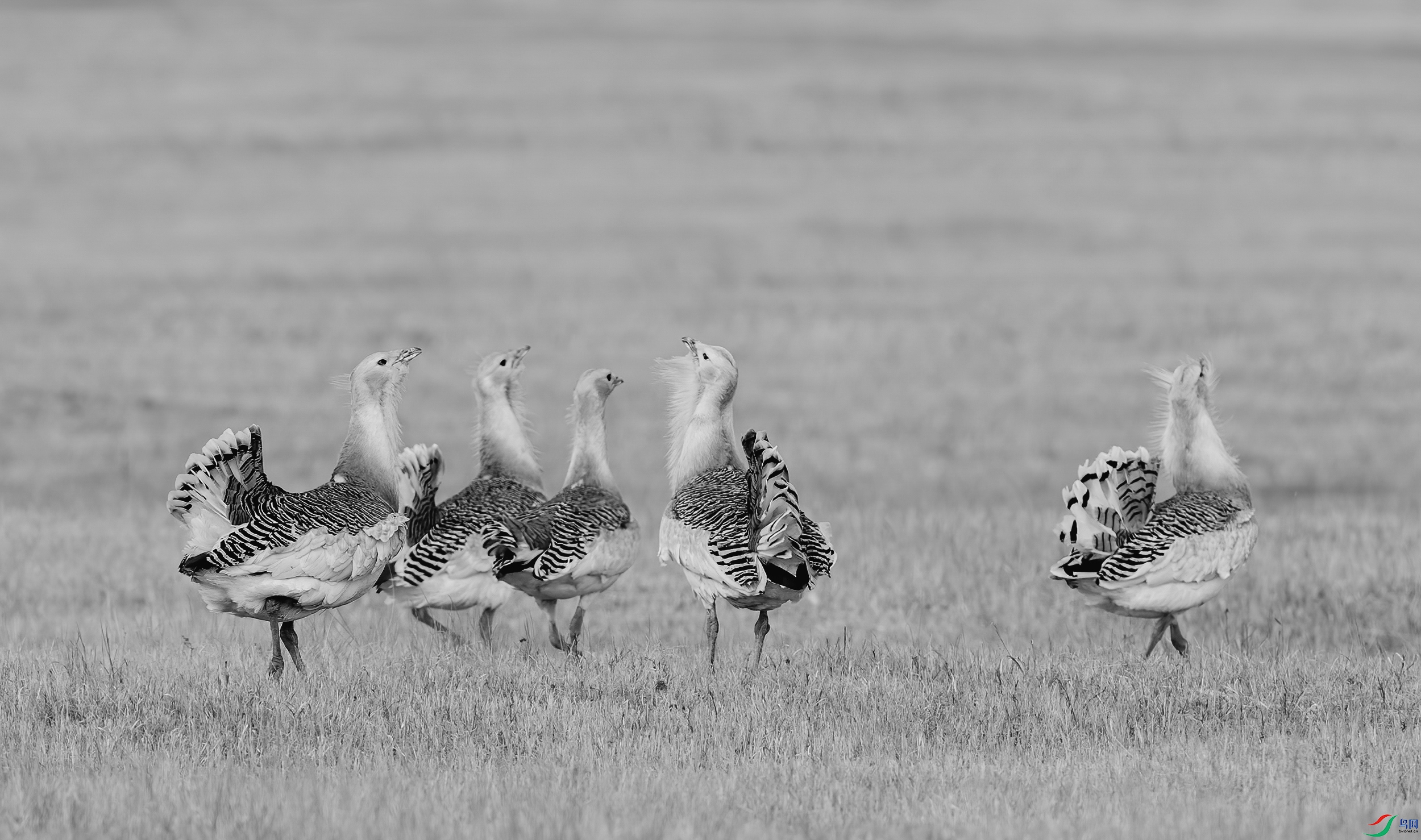 AC3I7266 ���� 2.jpg