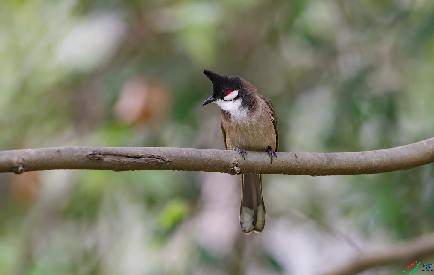 DSC_8090.jpg