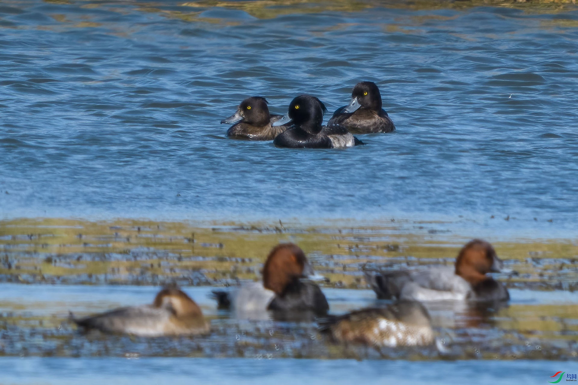 001 PB029939-DeNoiseAI-low-light.jpg