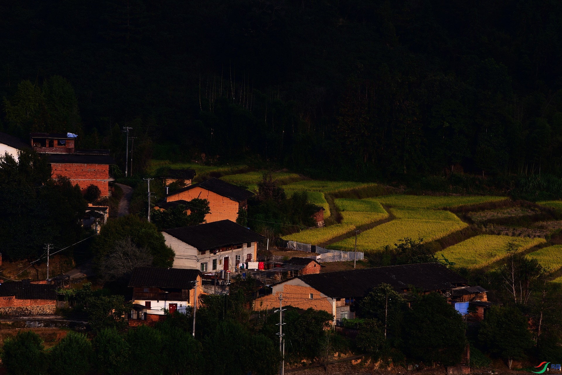 D8I_3419.jpg