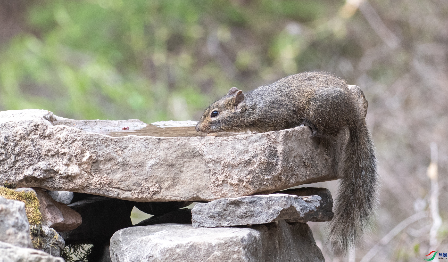 DSC_5023.jpg