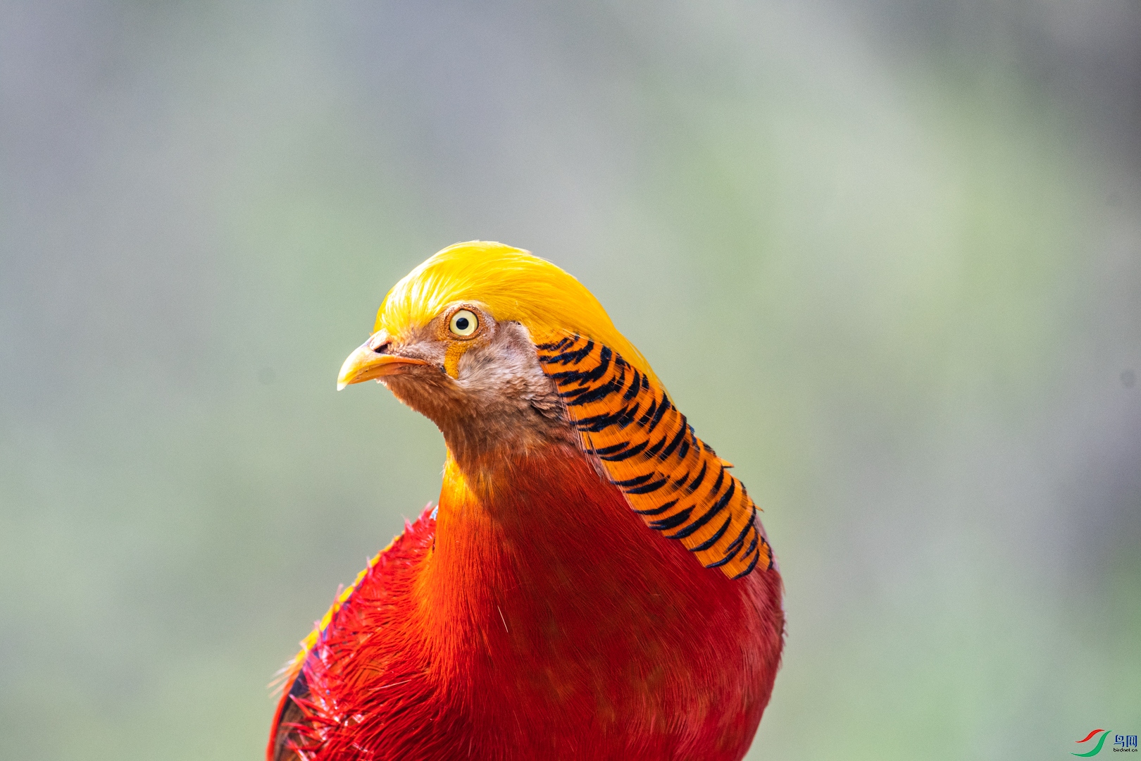 DSC_5587_1.jpg