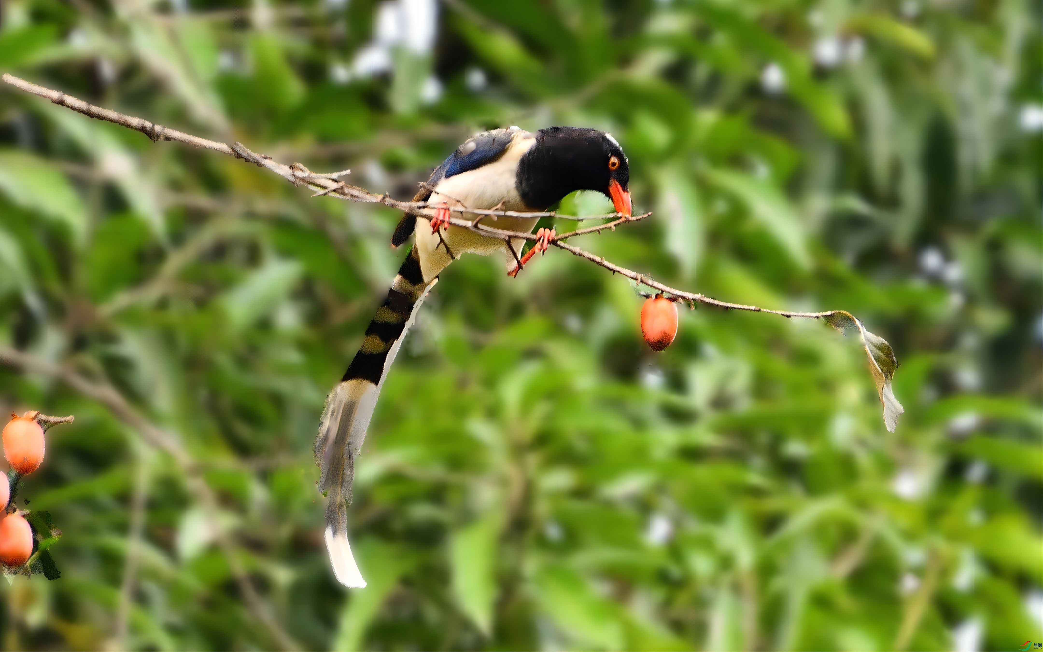 DSC_4938_355w.jpg