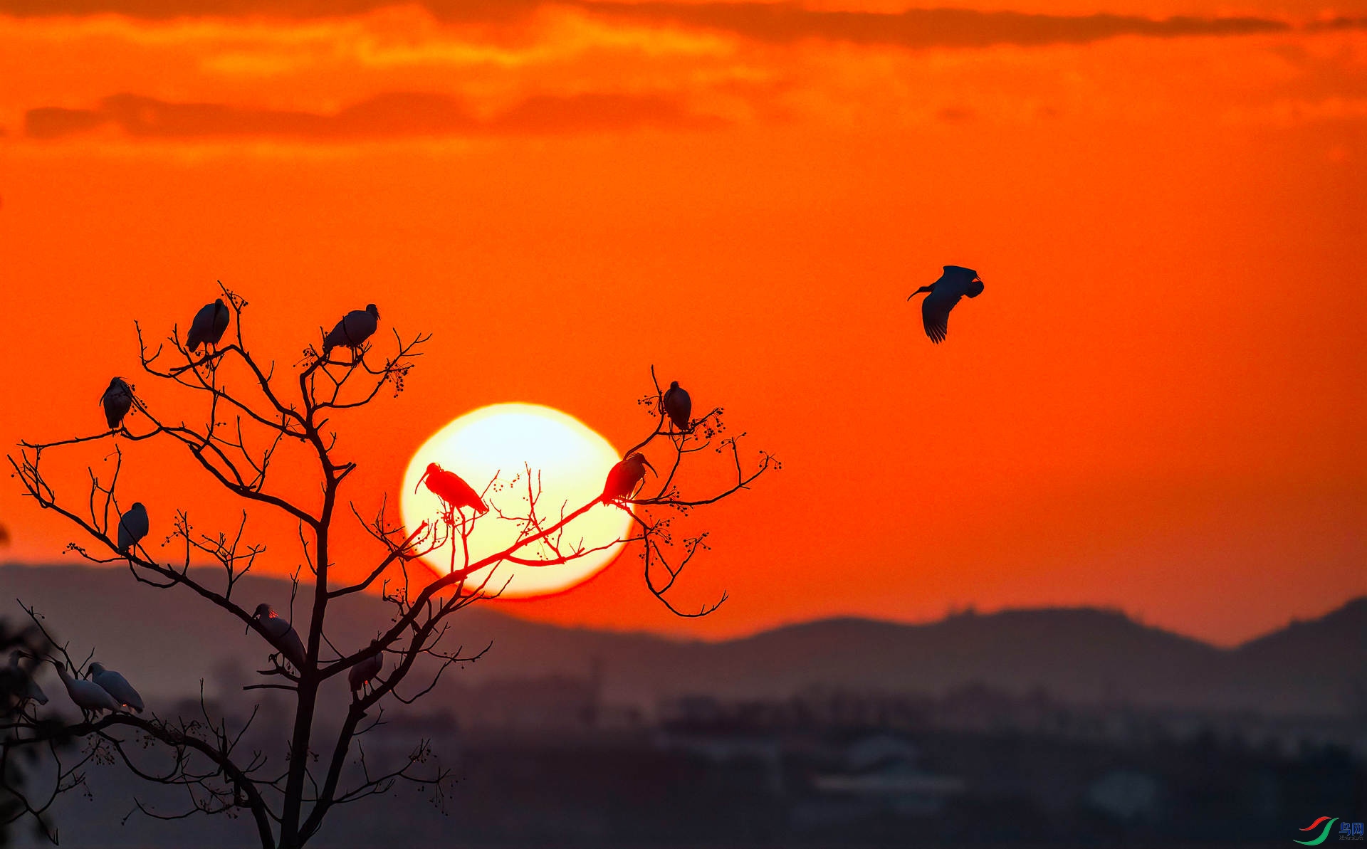 DSC_8247 ����_����.jpg