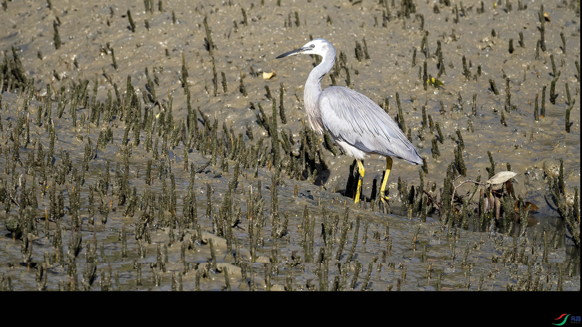 ������001 ����.jpg