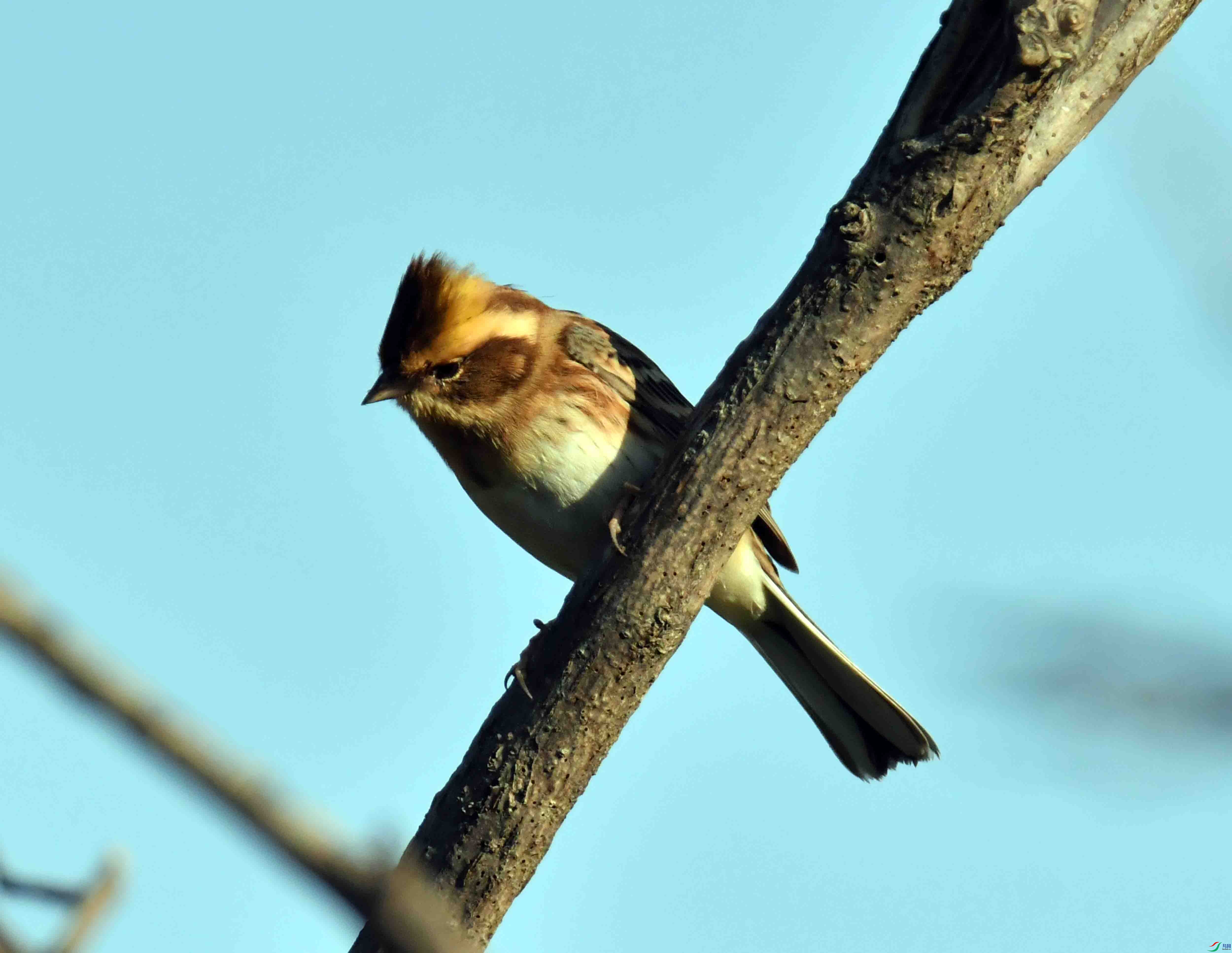 DSC_3862.JPG