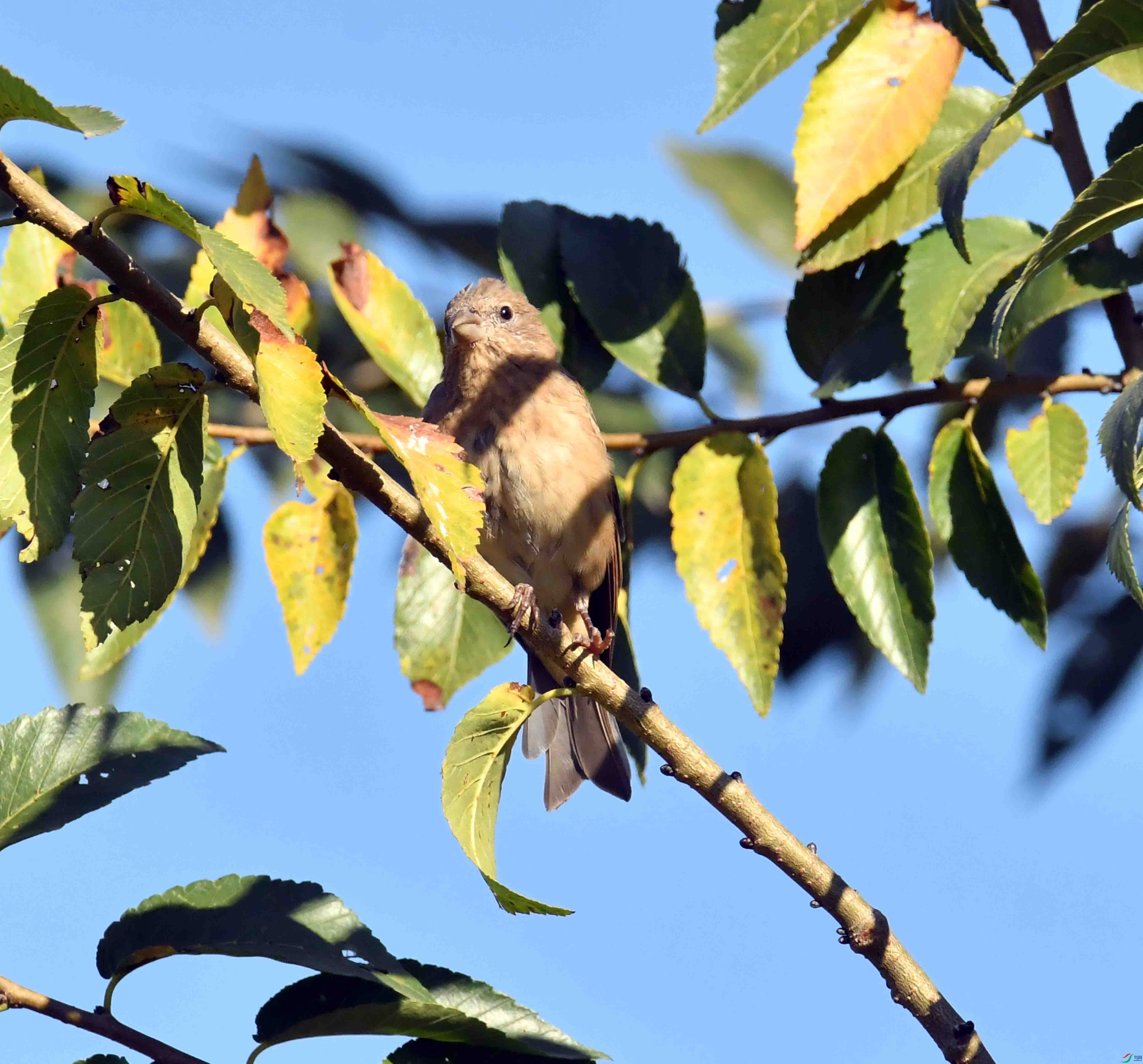 DSC_0045.JPG