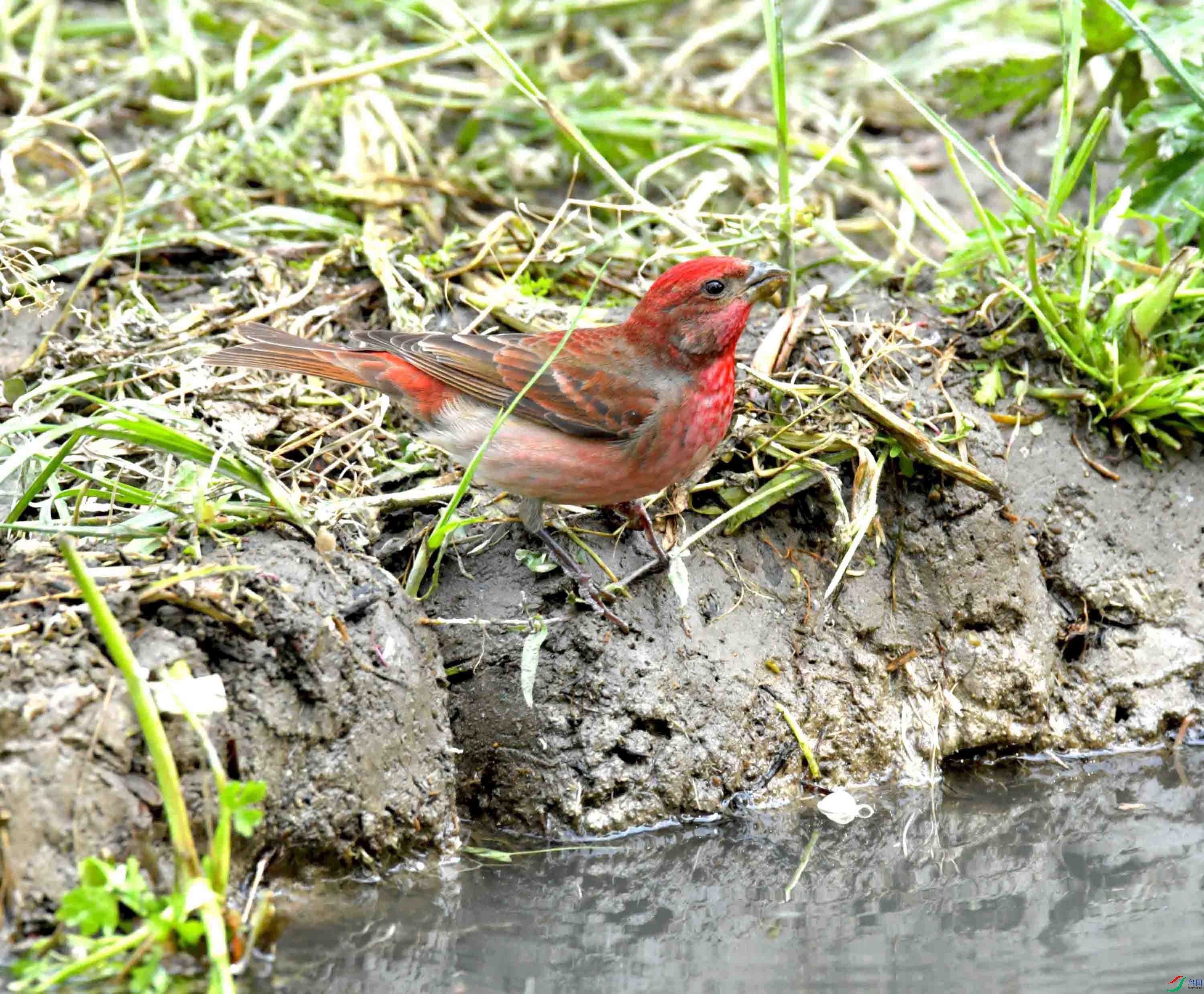 DSC_8712.JPG