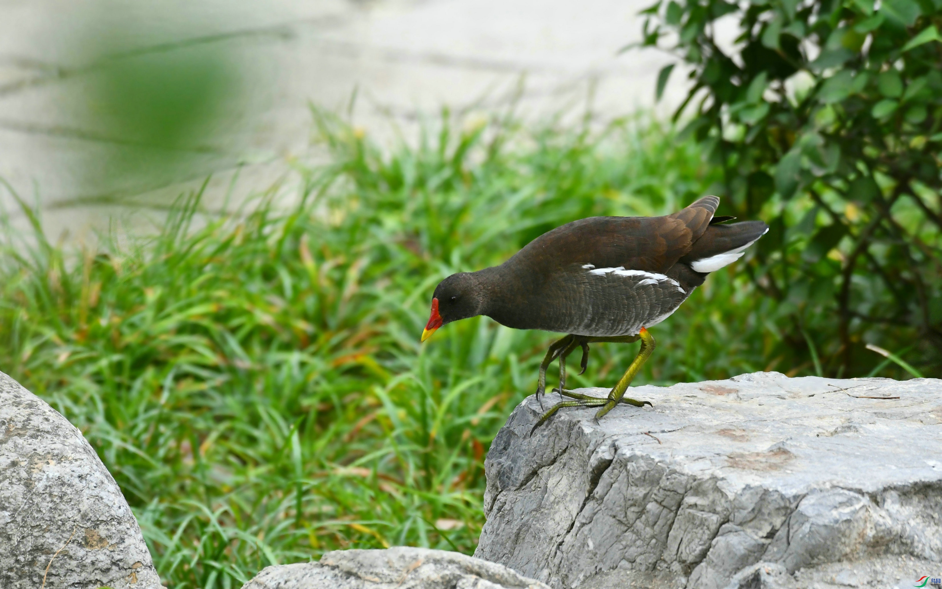 DSC_7015.JPG