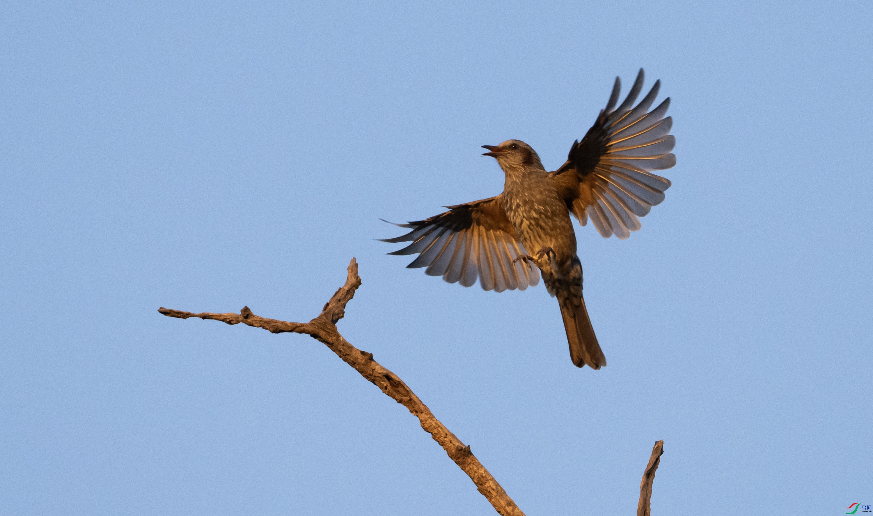 �����̽���