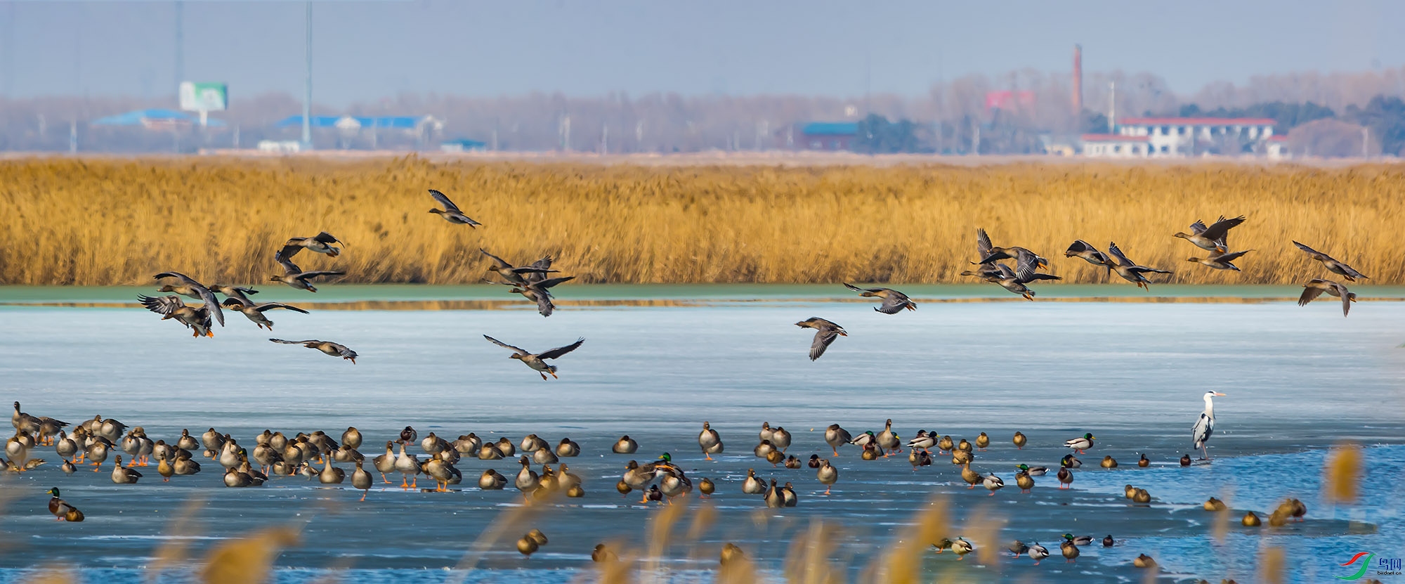 hn2018.03.21DSC_0572-Pano.jpg